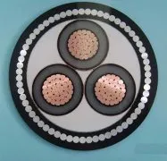 5kv/10kv/15kv/25kv/35kv Medium Voltage Conductor XLPE Insulation Mv Power Cables 